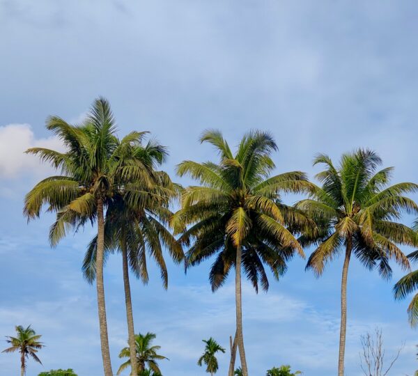 Discovery Islands